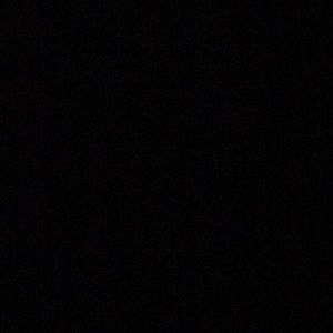 Meet your Posher, Jayluna